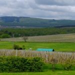 Domaine des Terres de Chatenay