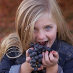 Juliana Layla eating a grape cluster